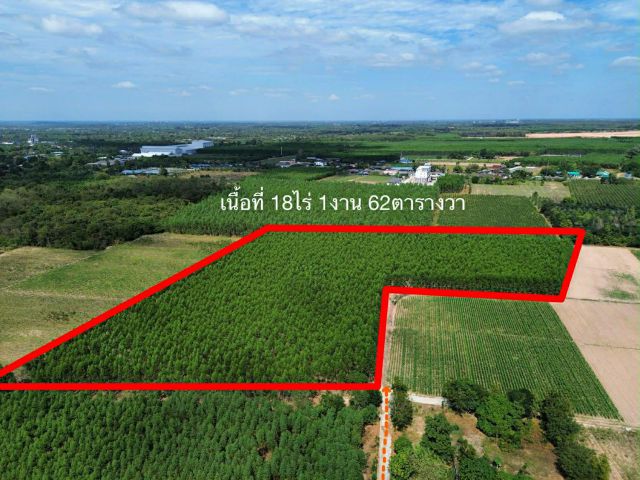 ขายที่ดินหนองเหียง 18 ไร่ ซอยบ้านไทรคู่13 ใกล้ถนนเส้น3086-1.1กม. อ.พนัสนิคม จ.ชลบุรี