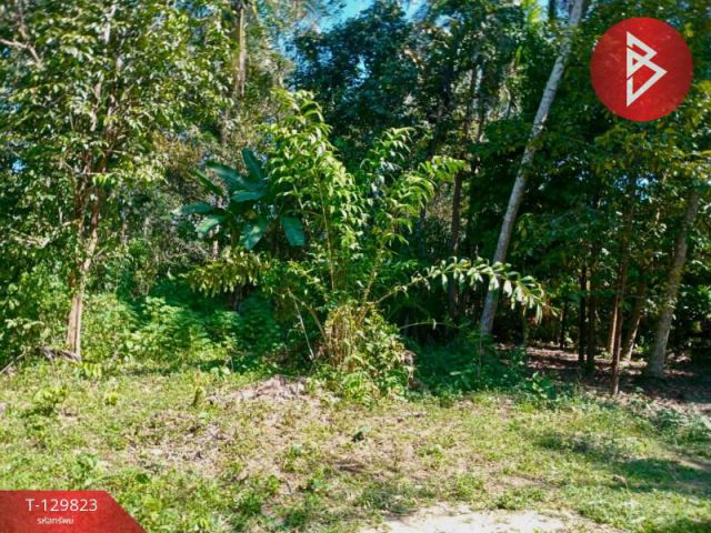 ขายที่ดินเปล่า เนื้อที่ 1 งาน 73 ตารางวา นาชะอัง ชุมพร