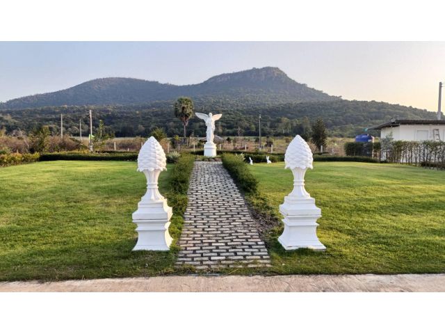 ขายที่ดิน วิวเขา