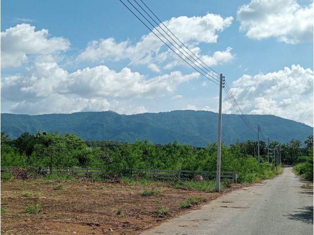 ขายที่ดินโฉนด หมูสี 4 ไร่ วิวเขาใหญ่ น้ำ ไฟ ถนนลาดยางเข้าถึง
