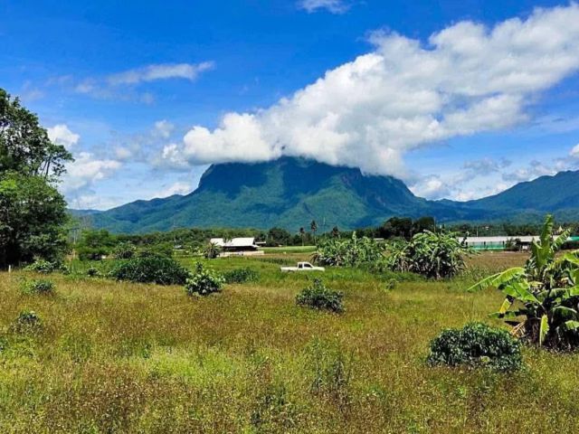 ขายที่ดินตำบลเชียงดาววิวดอยหลวงโฉนดพร้อมโอน