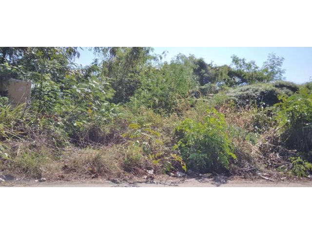 L1319 ขายที่ดินสวยทำเลดี 92 ตรว อรัญประเทศ สระแก้ว