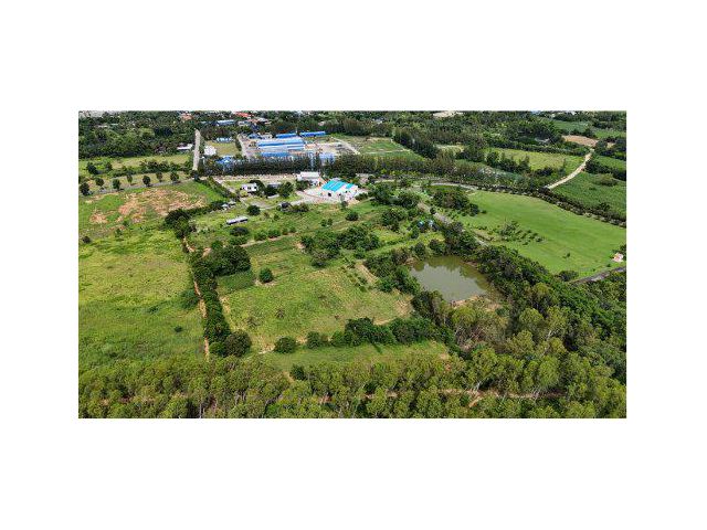 ขายที่ดิน 12 ไร่ ใกล้ถนนมอเตอร์เวย์ ต.บางพระ อ.ศรีราชา จ.ชลบุรี