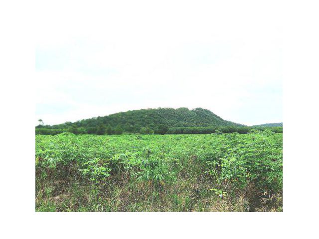 ขายที่ดิน 25 ไร่ ใกล้ถนน 331 ต.หัวสำโรง อ.แปลงยาว จ.ฉะเชิงเทรา