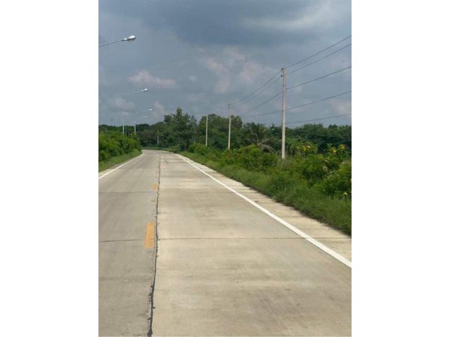 ขายที่ดิน 3 ไร่ ใกล้ถนนวงแหวนรอบนอก อ.สามโคก จ.ปทุมธานี