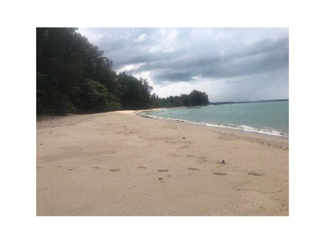 ขายที่ดิน 21 ไร่ ติดหาดเขาหลัก ติดถนนเพชรเกษม ต.บางม่วง อ.ตะกั่วป่า จ.พังงา