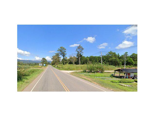 ขายที่ดิน 13 ไร่ ติดถนนทางหลวงหมายเลข 21 ต.ร่องจิก อ.ภูเรือ จ.เลย