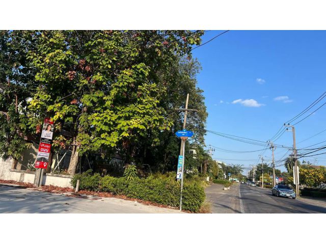 R69-011ขายที่ดิน 200 ตรว.โยธินพัฒนา 3 แยก 1 เยื้องสนามกอล์ฟโพธาลัย ถนนซอยทำใหม่เทคอนกรีตอย่างดี ที่ดินถมสวยนานแล้ว  หน้ากว้างติดซอย 26 เมตร ลึ