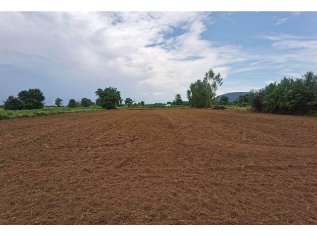 L1325 ขายที่ดินวิวภูเขาทำเลดี 9 ไร่ วังทอง พิษณุโลก