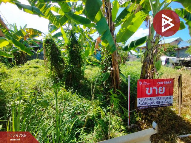 ขายที่ดิน เนื้อที่ 30.1 ตร.วา คลองหลวง ปทุมธานี