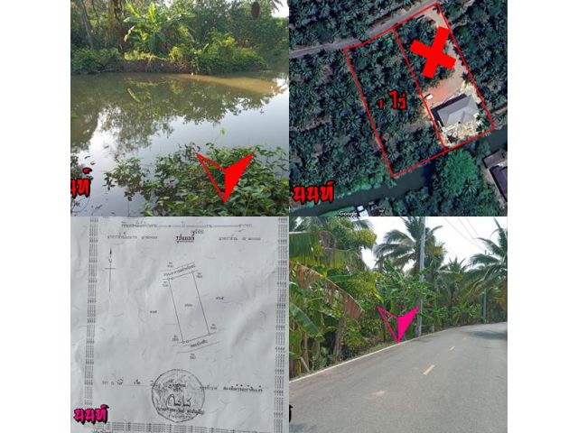 ติดคลอง แบ่งขาย 1 ไร่ 2 ไร่ 3 ไร่ 4 ไร่ ติดถนนลาดยาง