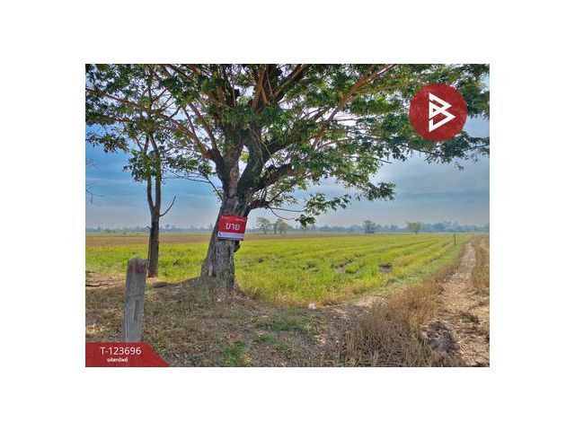 ขายที่ดิน เนื้อที่ 5 ไร่ 2 งาน 10 ตารางวา น้ำพอง ขอนแก่น