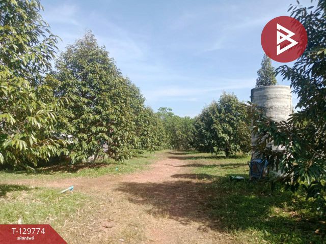 ขายที่ดิน เนื้อที่ 5 ไร่ แก่งหางแมว จันทบุรี