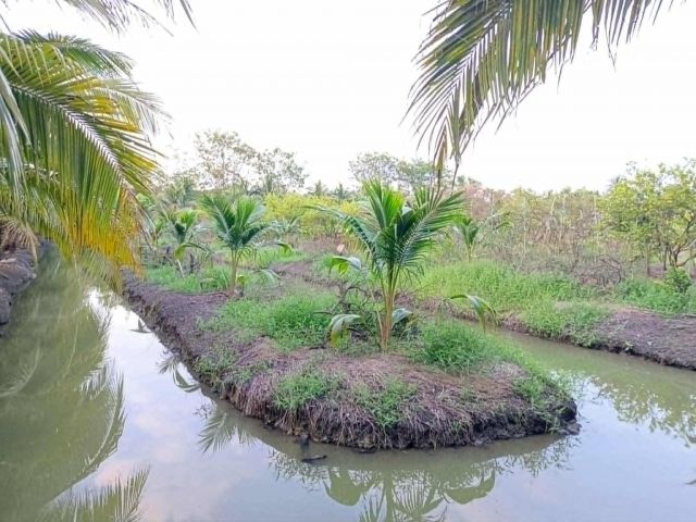 ขายที่ดิน 5 ไร่ ต.บัวงาม อ.ดำเนินสะดวก จ.ราชบุรี