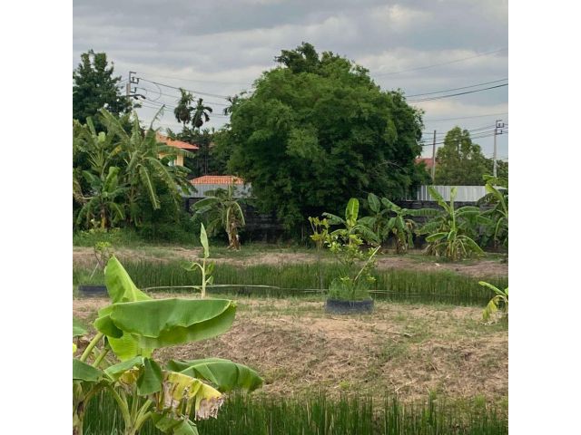 ขายที่ดินเปล่า 745 ตร.ว. ซ.เทิดราชัน 47 ดอนเมือง ทำเลทอง ติดถนนเทิดราชัน