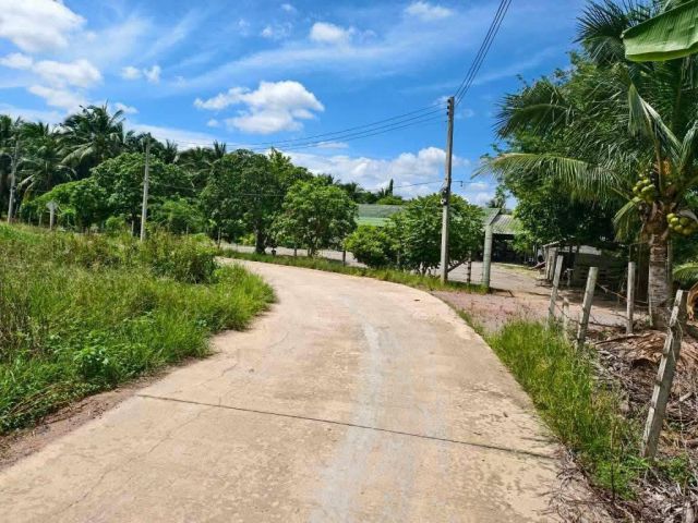 ขายบ้านพร้อมที่ดิน 14 ไร่ ต.บ้านไร่ อ.ดำเนินสะดวก จ.ราชบุรี