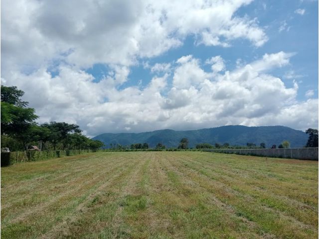 ขายที่ดินโฉนด 7 ไร่ เขตหมูสี วิวเขาใหญ่