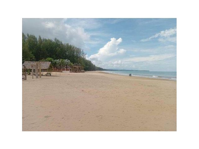 ขายที่ดิน 11 ไร่ บนเกาะคอเขา พร้อมบังกะโล 4 หลัง อ.ตะกวป่า จ.พังงา