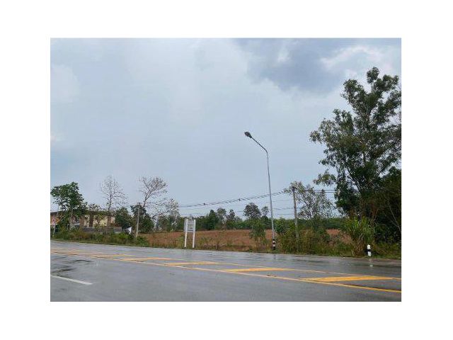 ขายที่ดิน 12 ไร่ ติดถนนทางหลวงหมายเลข 21 ต.โคกงาม อ.ด่านซ้าย จ.เลย