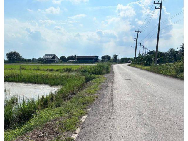 ขายที่ดินดอนเกาะกา 2 ไร่ คลอง21 ติดถนนลาดยางใกล้ถนน5006-1.2กม. อ.บางน้ำเปรี้ยว ฉะเชิงเทรา