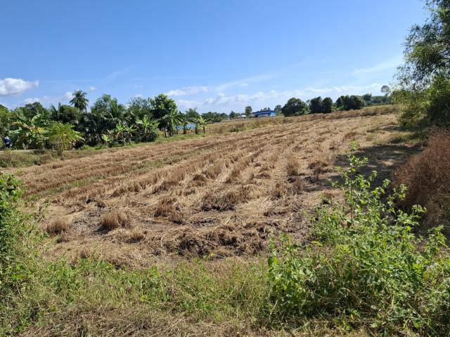 ที่นา ติดถนนลาดยาง  ย่านชุมชน