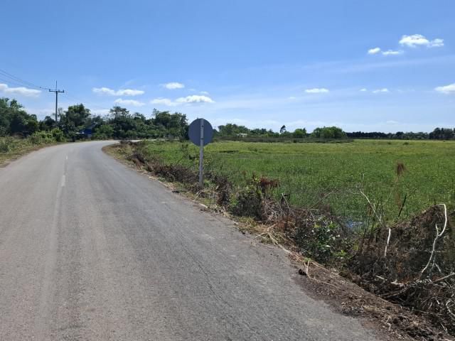 ที่นา ติดถนนลาดยาง  ไกล้ทางหลวง