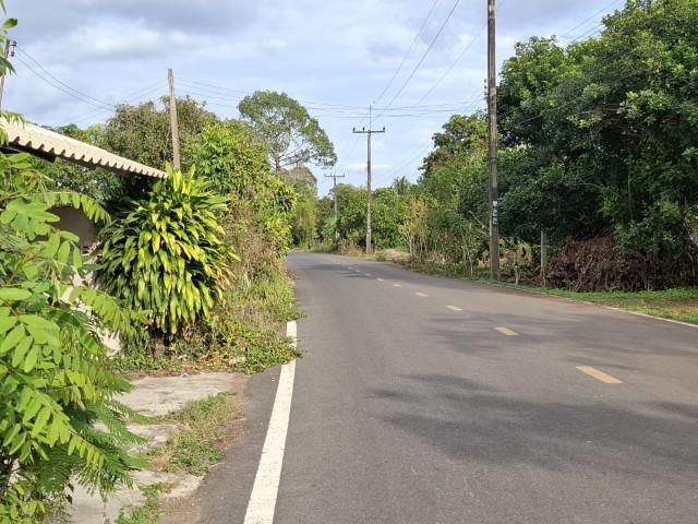 ขายที่สวน พร้อม บ้านพักหลายห้อง