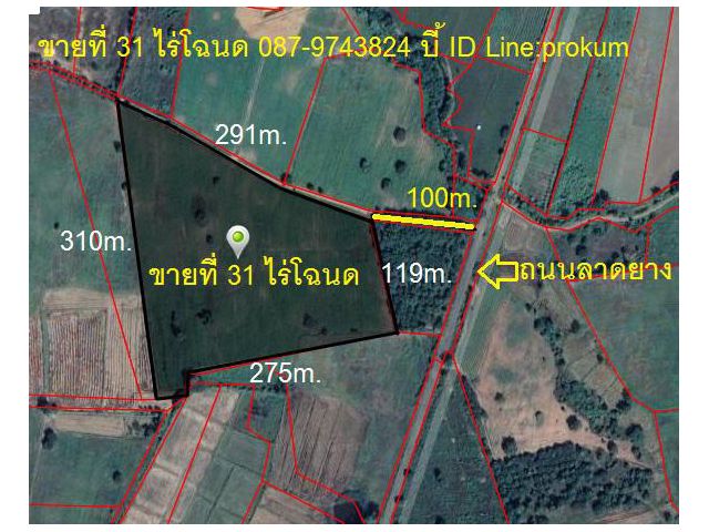 ขายที่ 31ไร่ๆละ130,000 บาท โฉนดครุฑแดง หน้ากว้าง 291 เมตร