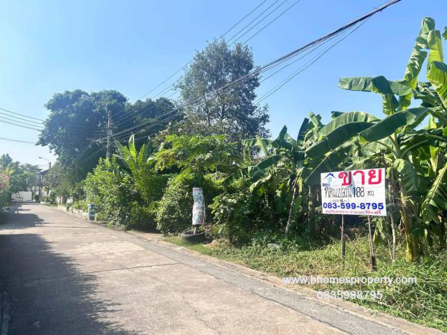 ขายที่ดิน ซอยลาดพร้าว 41 แยก 9  สถานีรถไฟฟ้าภาวนา