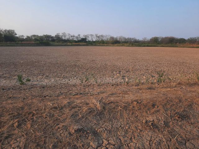 L1337 ขายที่ดิน 21 ไร่ บ้านโพธิ์ ฉะเชิงเทรา