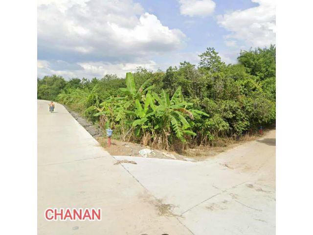 ขายที่ในเชียงใหม่ การ์เด็นท์วิว ถ.รอบเมืองเชียงใหม่(สาย1006)อ.สันกำแพง เชียงใหม่ เนื้อที่1ไร่295ตรว