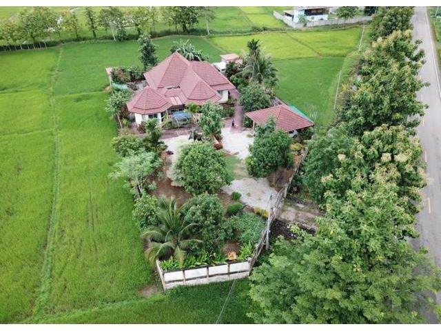 ขายบ้านพร้อมที่ดิน ต.บ้านสาง อ.เมือง จ.พะเยา 1ไร่1งาน77ตรว.