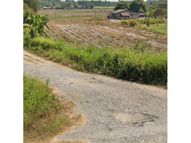 ขายที่ดินหมอนนาง 8 ไร่ ทำเกษตร