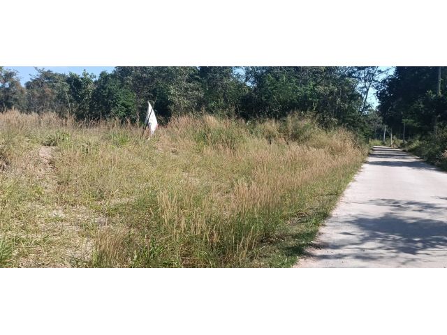 ขายที่ดินตำบลไชยมงคล อำเภอเมือง จังหวัดนครราชสีมา 100 ตรว. เอกสารโฉนด