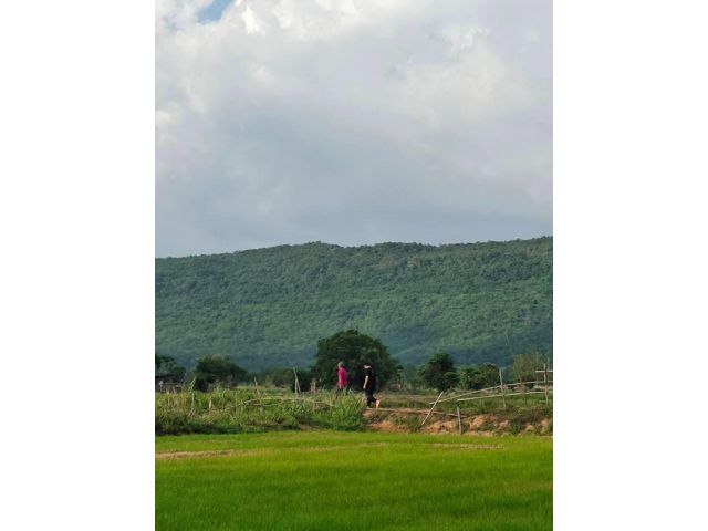 ที่ดินอำเภอเขาวง จ.กาฬสินธุ์ วิวเขา ใกล้วัดพระธาตุหมื่นหิน หลวงปู่ศิลา
