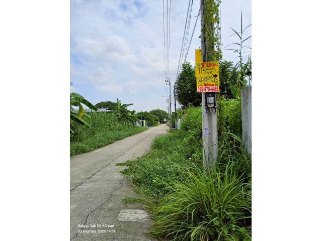 ขายที่ดินพุทธมณฑลสายสอง 113 ตรว ติดถนนคอนกรีตสาธารณะ ถมแล้ว  ซ.11 ภาษีเจริญ กทม.