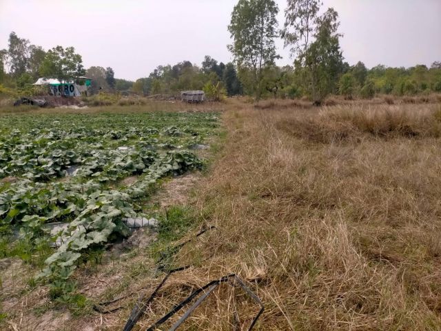 ขายที่ดินเปล่า 3 ไร่ 2 งาน 13 ตรว. ราคารวม