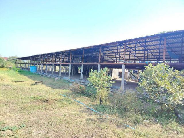 ให้เช่าพื้นที่เป็นอาคารเปิดโล่ง 250 ตร.ม. พร้อมบ้านเดี่ยว 1 หลัง อยู่ท่ามกลางสวนไร่นา บรรยากาศดีมาก ตำบลดอนพุด สระบุรี