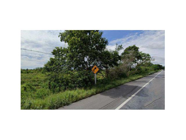 ขายที่ดิน 75 ไร่ ติดถนนเพชรเกษม ต.ชะอำ อ.ชะอำ จ.เพชรบุรี