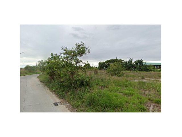 ขายที่ดิน 5 ไร่ ใกล้ถนนศุขประยูร ต.หนองกะขะ อ.พานทอง จ.ชลบุรี