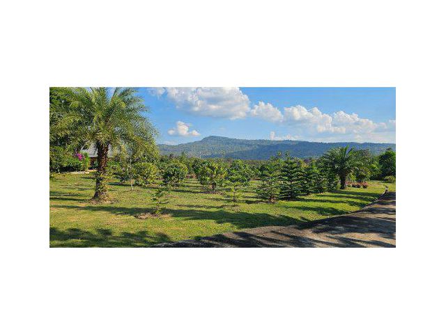 ขายบ้านเดี่ยว พร้อมสวนผลไม้ 48 ไร่ ต.ร่องจิก อ.ภูเรือ จ.เลย