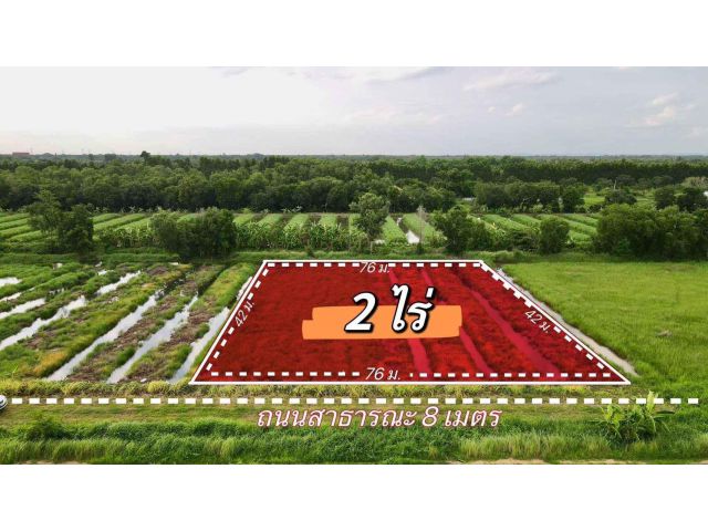 ขายที่ดินบึงบา 2 ไร่(แบ่งขายได้) คลอง10 ซอยการไฟฟ้าหนองเสือ จ.ปทุมธานี