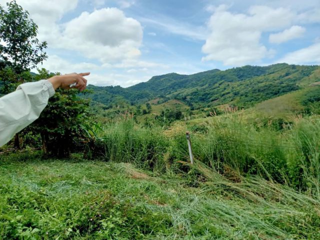 ด่วนที่สุด ขายที่ดินใกล้ทางขึ้นภูทับเบิก วิวสวยมาก จำนวน 2,620 ไร่