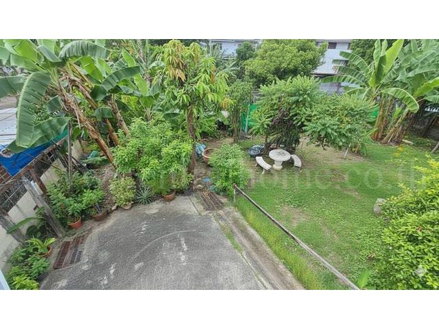 ลดราคา ที่ดินเปล่า 59.5 ตร.วา สุขุมวิท 97/1 ใกล้ BTS บางจาก