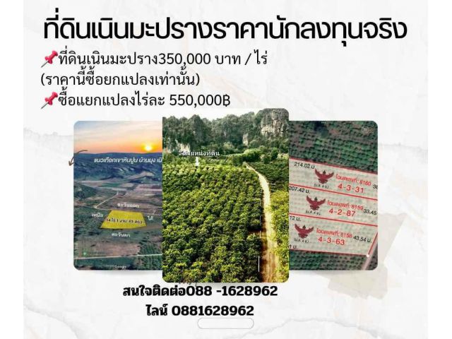 ที่ดินเนินมะปราง ราคานักลงทุน มีแค่ 1 แปลง 350,000 บาท / ไร่ (ซื้อยกแปลงเท่านั้น) ️ซื้อแยกไร่ ราคาปกติ 550,000 บาท