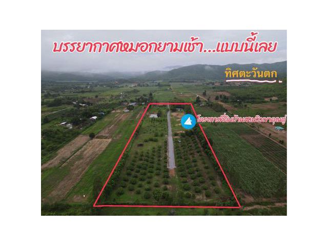 Vายที่ดินพร้อมสวนแบ่งขาย200วา-3ไร่ ติดภูเขาน้ำประปาไฟฟ้าพร้อม ที่ด่านช้าง สุพรรณบุรี