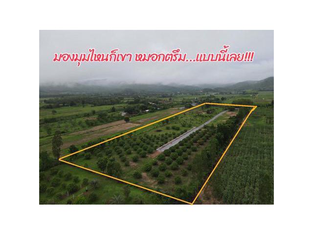 Vายที่ดินพร้อมสวนแบ่งขาย200วา-3ไร่ ติดภูเขาน้ำประปาไฟฟ้าพร้อม ที่ด่านช้าง สุพรรณบุรี