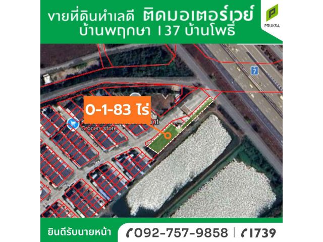 ขายที่ดิน บางปะกง ฉะเชิงเทรา