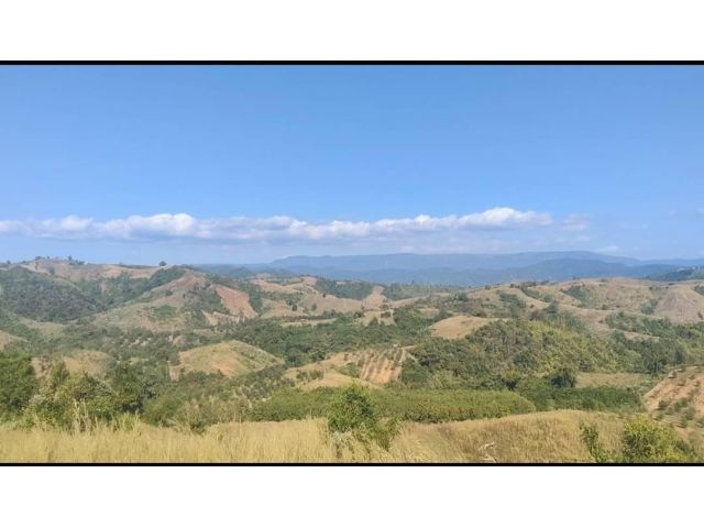 ด่วนที่สุด ขายที่ดินท่องเที่ยวเชิงเกษตร จำนวน 9,051 ไร่