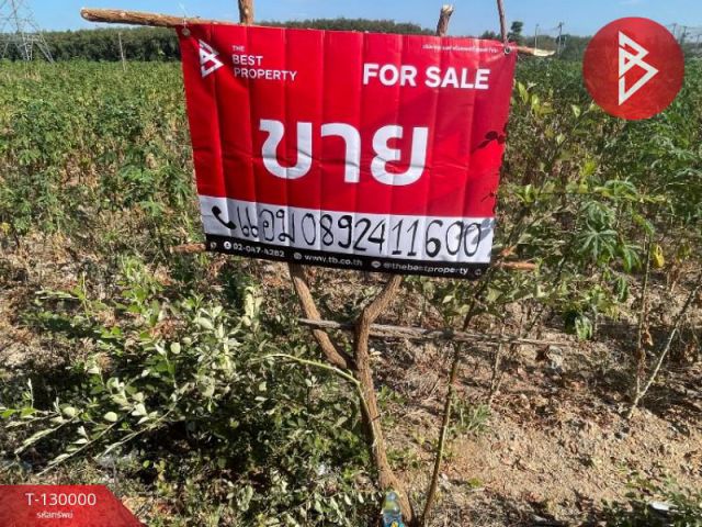 ขายที่ดินเปล่า เนื้อที่ 8 ไร่ 3 งาน 25.5 ตารางวา ปลวกแดง ระยอง ทำเลดี